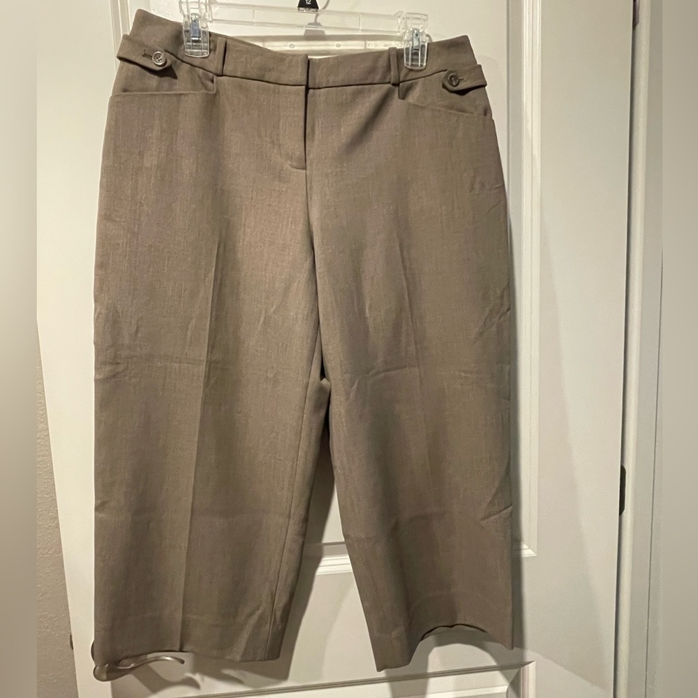 The Limited short slacks